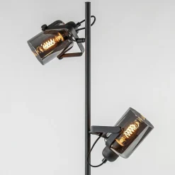 Vloerlamp mat zwart met titanium glazen kappen